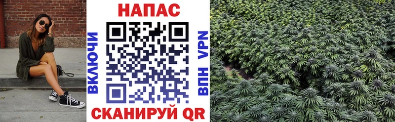 купить  цена  Черепаново  МАРИХУАНА планчик 